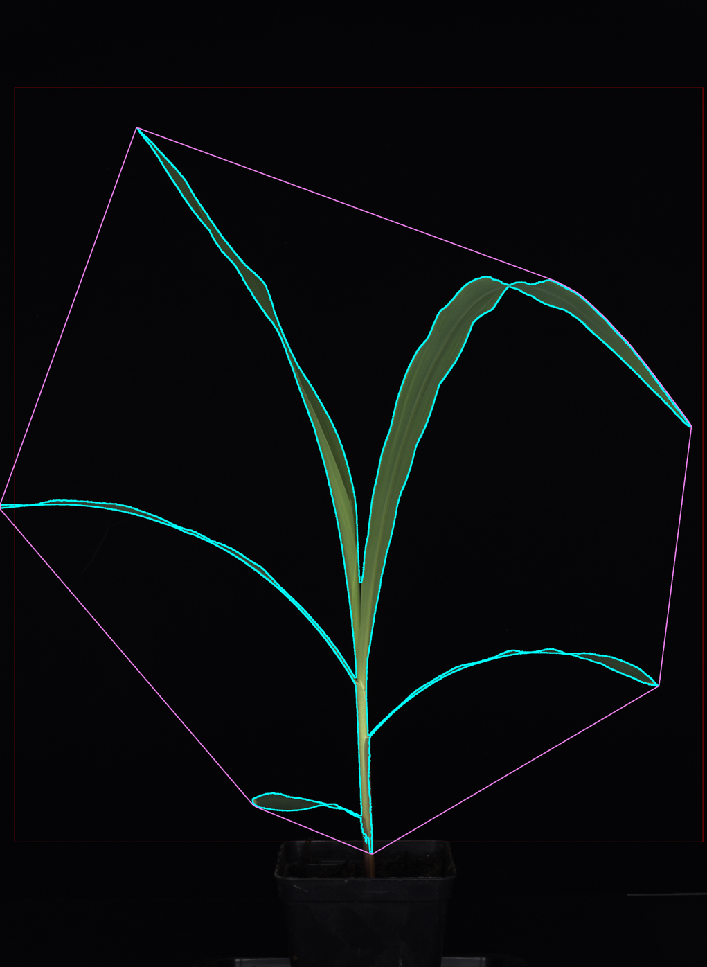 Plant Phenotyping - LemnaTec