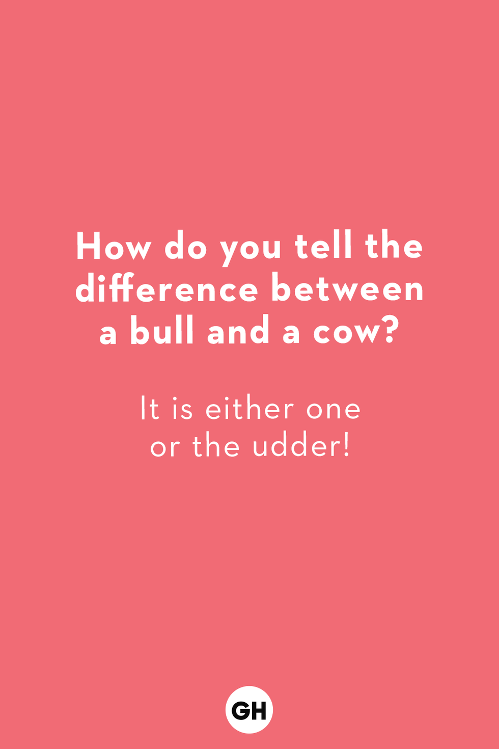 170 Funny, Corny Jokes for Kids and Adults